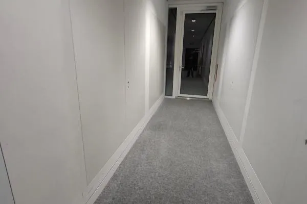 Concealed riser doors in a commercial corridor